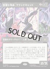 狡猾な怪盗、ブラックキャット/Black Cat, Cunning Thief