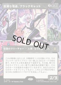 狡猾な怪盗、ブラックキャット/Black Cat, Cunning Thief