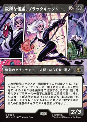 画像1: 狡猾な怪盗、ブラックキャット/Black Cat, Cunning Thief