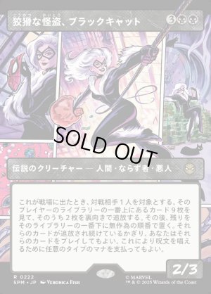 画像1: 狡猾な怪盗、ブラックキャット/Black Cat, Cunning Thief