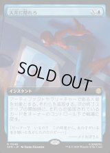 天井に隠れろ/Hide on the Ceiling