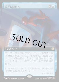 天井に隠れろ/Hide on the Ceiling