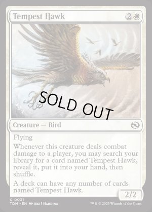 画像2: 大嵐の鷹/Tempest Hawk