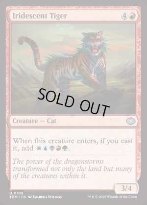 画像2: 玉虫色の虎/Iridescent Tiger