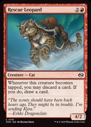 画像2: 救助豹/Rescue Leopard