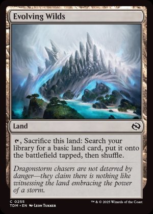 画像2: 進化する未開地/Evolving Wilds