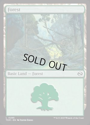 画像2: 森/Forest