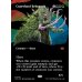 画像2: 孔蹄のビヒモス/Craterhoof Behemoth (2)