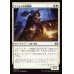 画像1: アラシンの日輪盾/Arashin Sunshield (1)