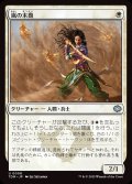 嵐の末裔/Descendant of Storms
