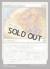 務め果たさずに死なず/Duty Beyond Death
