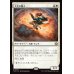 画像1: 大空の賢人/Sage of the Skies (1)