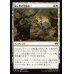 画像1: 嵐ヶ原の足留め/Stormplain Detainment (1)