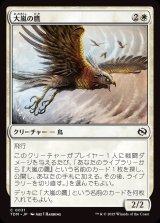 大嵐の鷹/Tempest Hawk