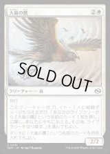 大嵐の鷹/Tempest Hawk