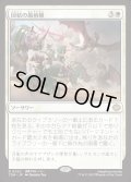 団結の最前線/United Battlefront