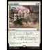 画像1: 団結の最前線/United Battlefront (1)