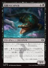 装飾クロコダイル/Adorned Crocodile