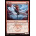 画像1: 平衡の達人/Equilibrium Adept (1)