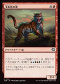 玉虫色の虎/Iridescent Tiger
