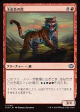 玉虫色の虎/Iridescent Tiger