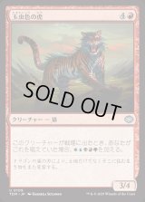 玉虫色の虎/Iridescent Tiger