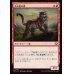 画像1: 玉虫色の虎/Iridescent Tiger (1)