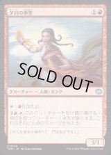 夕日の拳聖/Sunset Strikemaster