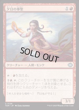 画像1: 夕日の拳聖/Sunset Strikemaster