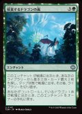 侵食するドラゴンの嵐/Encroaching Dragonstorm