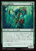 旅する植物学者/Traveling Botanist