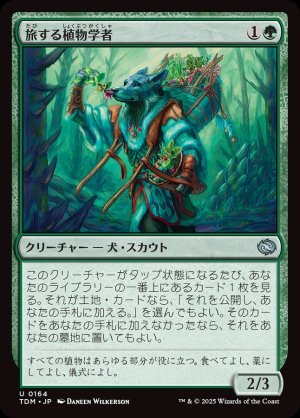 画像1: 旅する植物学者/Traveling Botanist