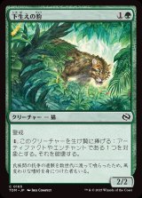 下生えの豹/Undergrowth Leopard