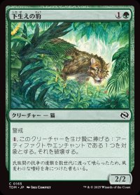 下生えの豹/Undergrowth Leopard