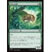 画像1: 下生えの豹/Undergrowth Leopard (1)