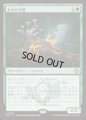 画像1: 木立の守部/Warden of the Grove