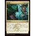 画像1: 龍爪撃/Dragonclaw Strike (1)