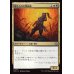 画像1: 鍛えられた戦術家/Hardened Tactician (1)