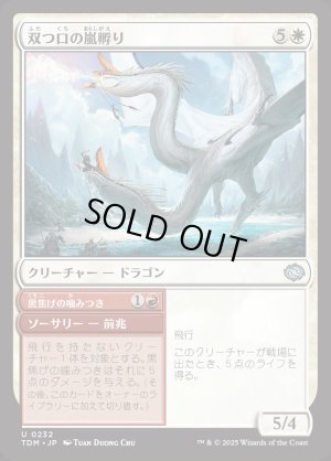 画像1: 双つ口の嵐孵り/Twinmaw Stormbrood