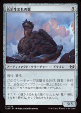 丸岩生まれの龍/Boulderborn Dragon