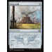 画像1: マルドゥの碑/Mardu Monument (1)