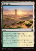 花咲く砂地/Blossoming Sands