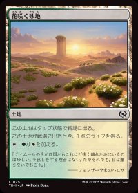 花咲く砂地/Blossoming Sands