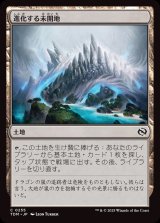 進化する未開地/Evolving Wilds
