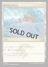 開拓地の野営地/Frontier Bivouac