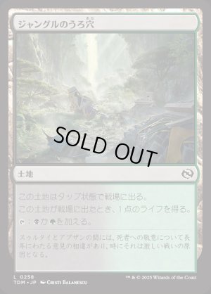 画像1: ジャングルのうろ穴/Jungle Hollow