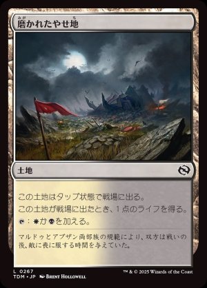 画像1: 磨かれたやせ地/Scoured Barrens