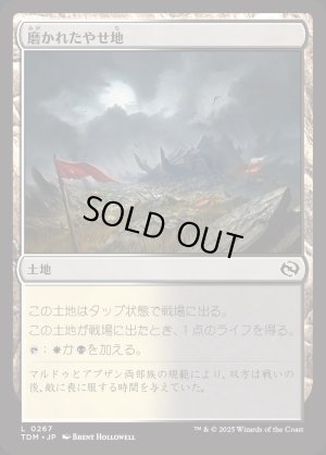 画像1: 磨かれたやせ地/Scoured Barrens