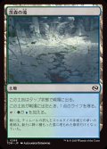 茨森の滝/Thornwood Falls