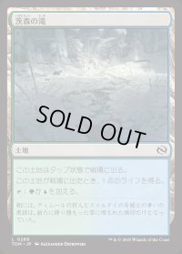 茨森の滝/Thornwood Falls